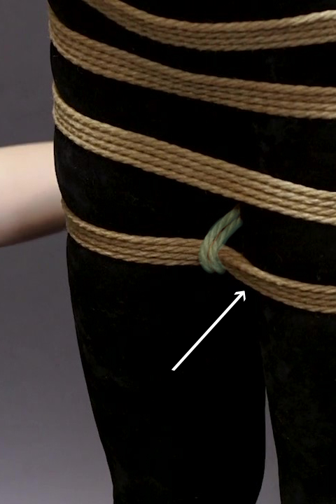 Bild von einem Cinch, jap. Kannuki