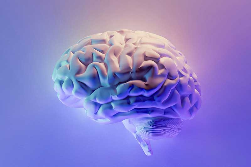 Ein schwebendes Gehirn (Grafik) auf einem lila Hintergrund